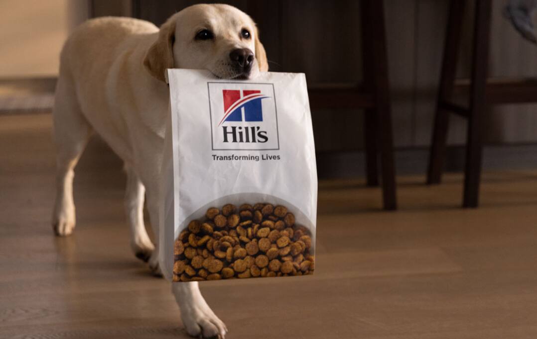 A dog carrying Hill's Pet dog food by its mouth