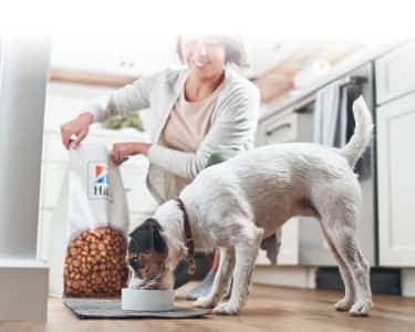 Dog eating Hill's food